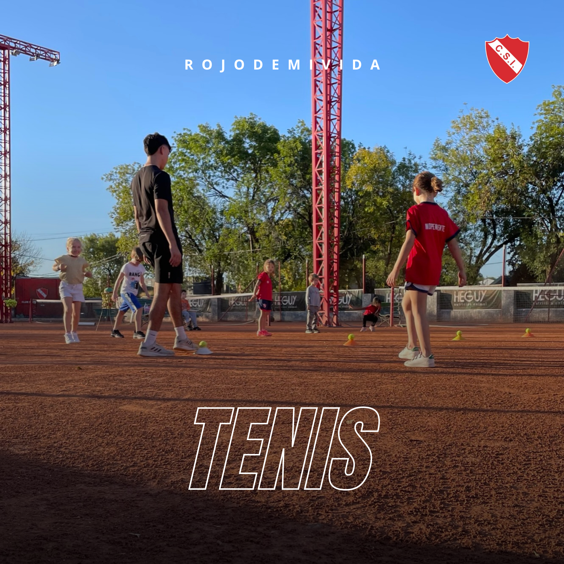 Tenis