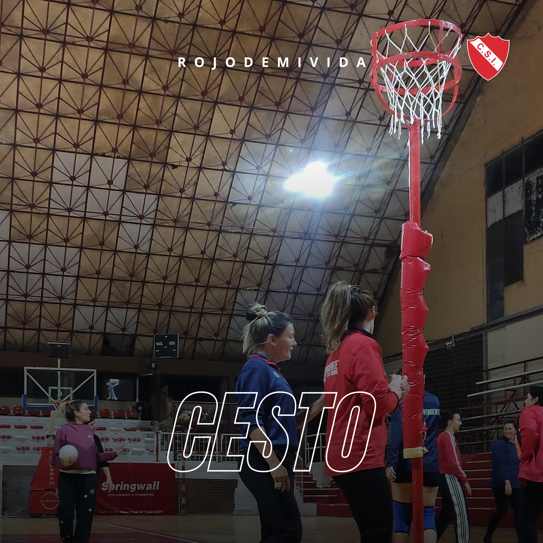 Cesto