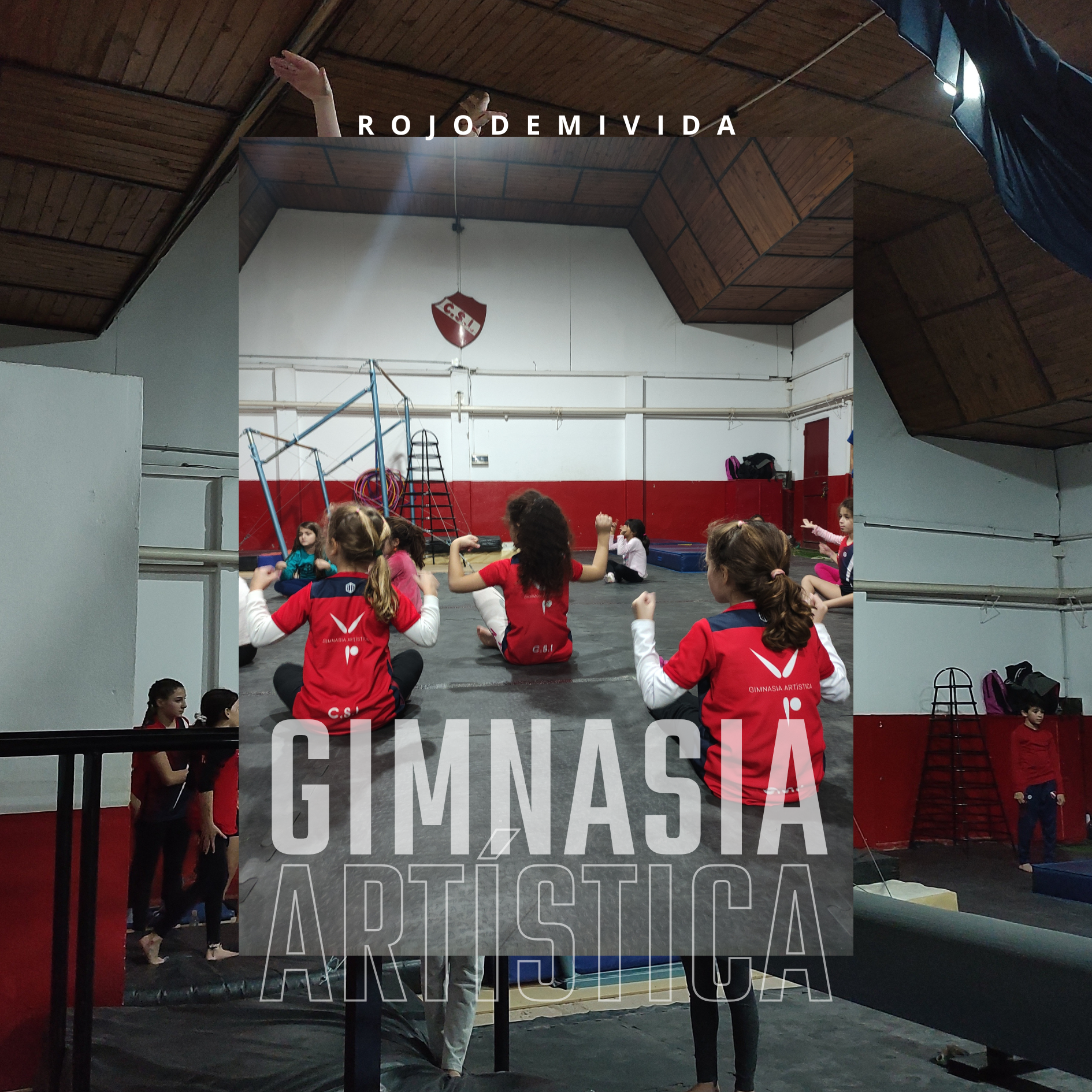 Gimnasia Artística