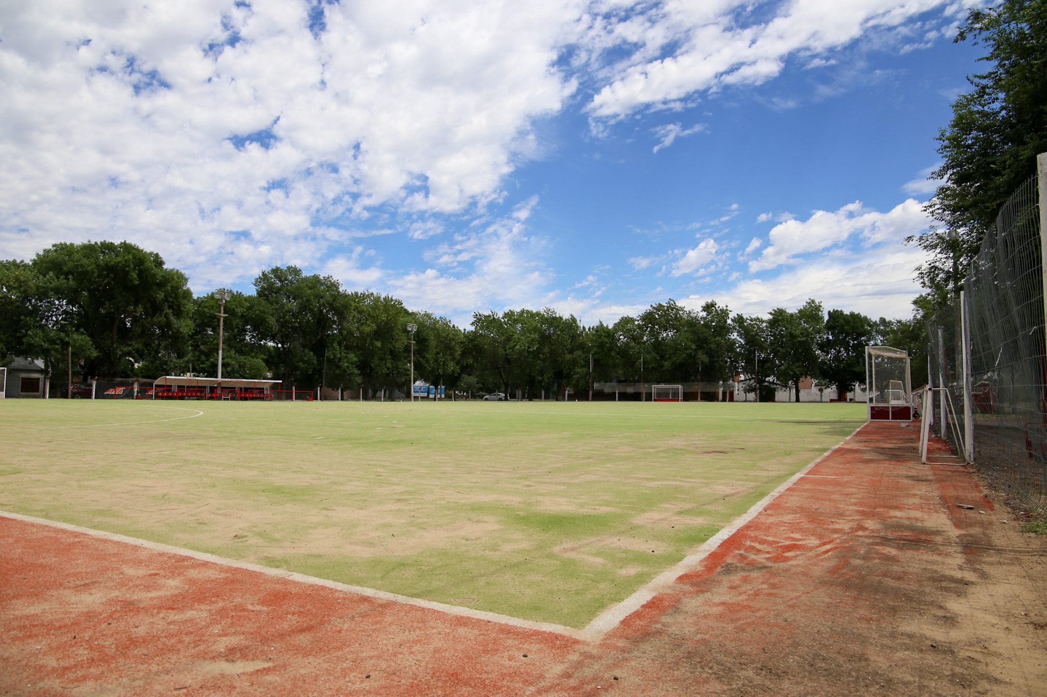 Sintético Hockey